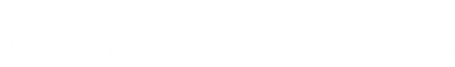 mmi logo white